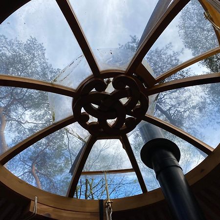 Ons Yurt Huisje In Het Bos Hollandsche Rading Ngoại thất bức ảnh